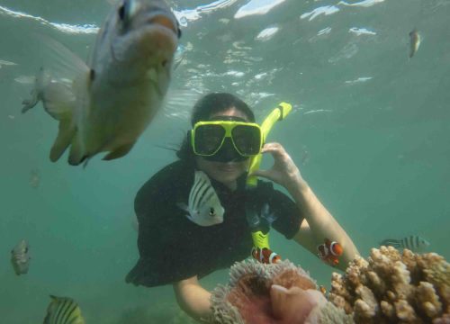 Mengapa Kamu Harus Snorkeling di Pulau Lemukutan